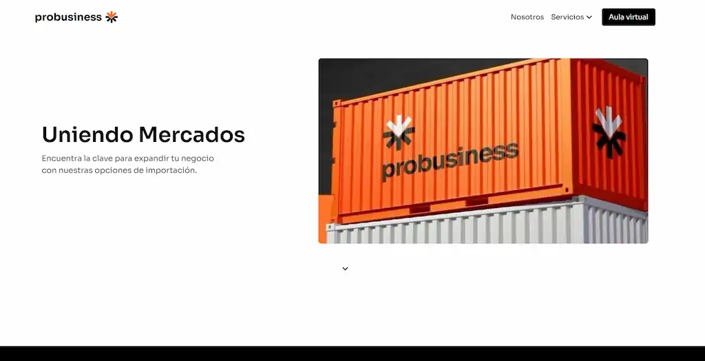 probusiness.pe